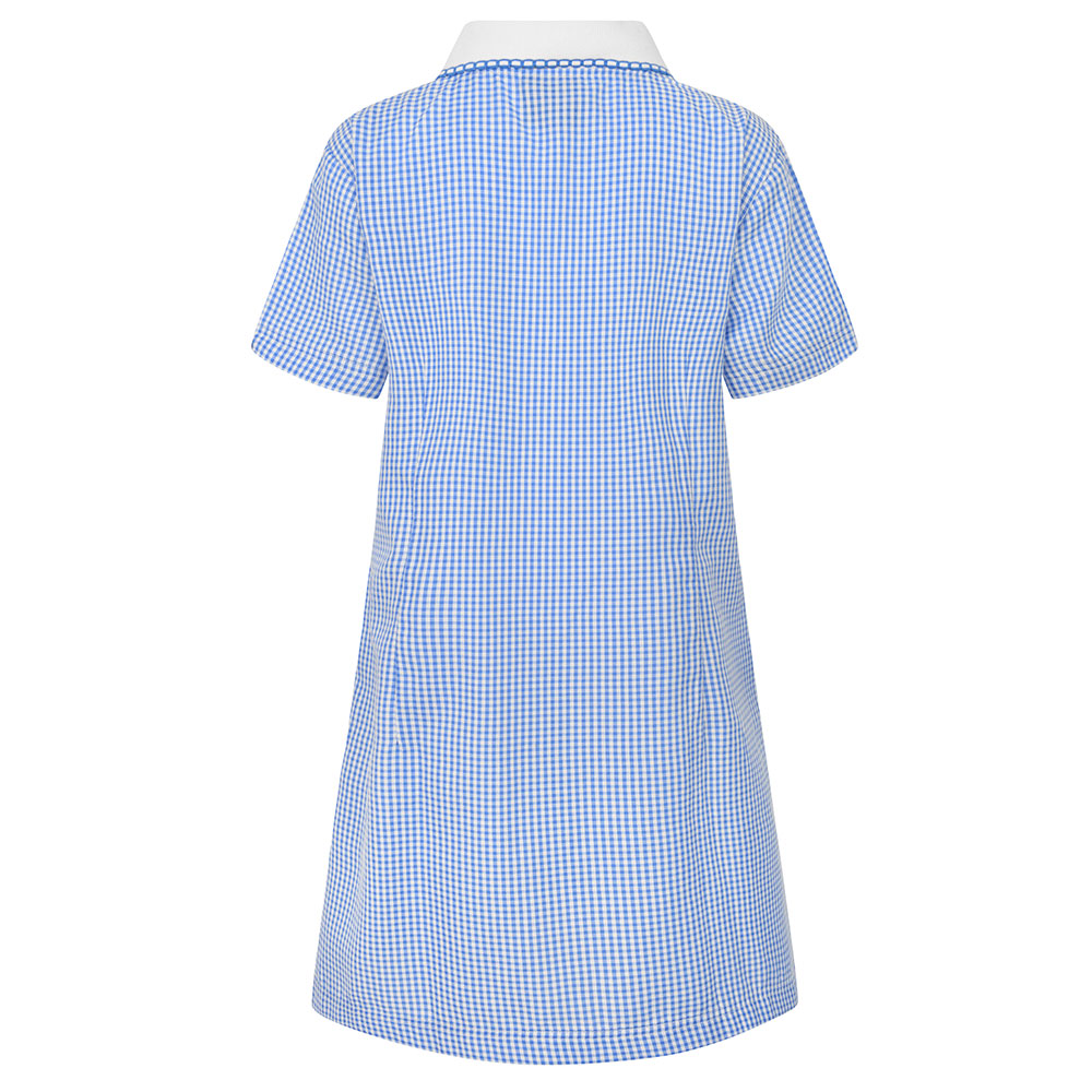 A-Line Gingham Dress