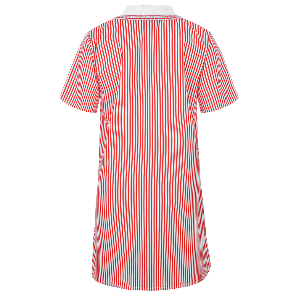 A-Line Striped Dress 