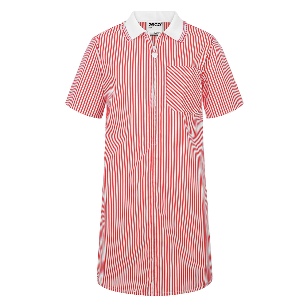 A-Line Striped Dress 