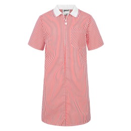 A-Line Striped Dress 